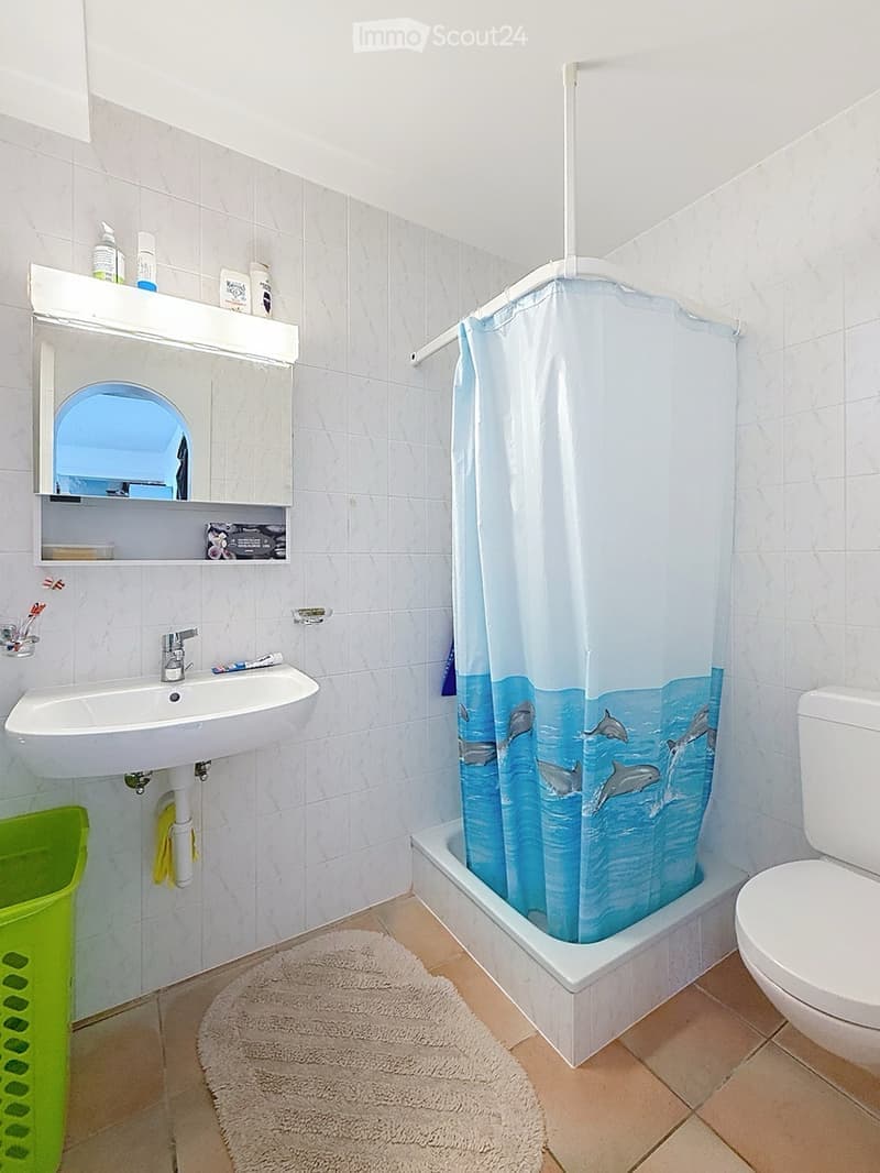 A small bathroom with a white tiled wall, a sink with a mirror cabinet, a toilet, a bathtub with a dolphin-themed shower curtain, and a round bathroom rug on the floor.