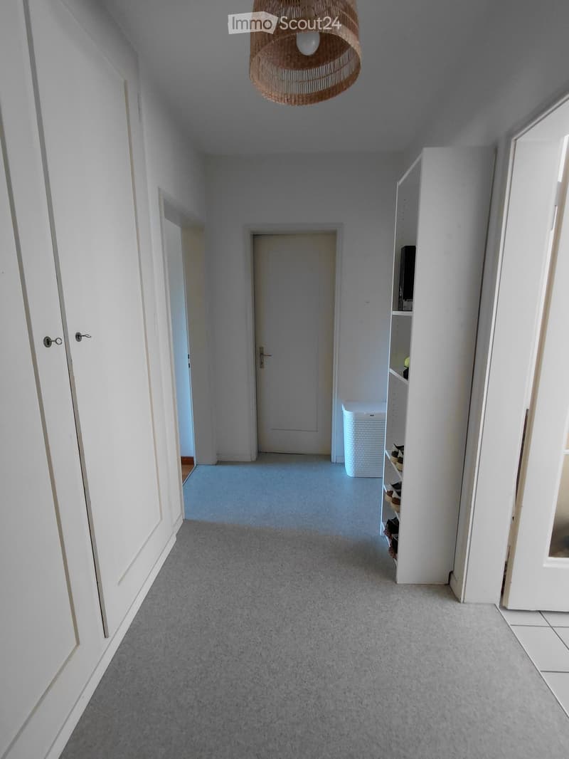 Clean, narrow hallway with grey carpet, white walls, and a hanging woven light fixture. Features a built-in shoe rack and a closed door at the end.