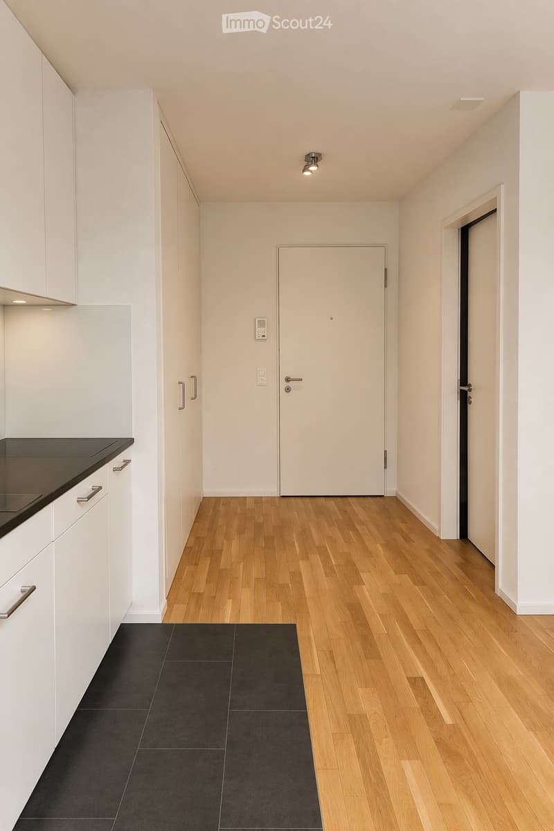 Modern hallway with light wooden flooring, white walls, and white cabinetry on one side. Features a black tiled entryway, recessed ceiling lights, and two doors leading to other rooms.