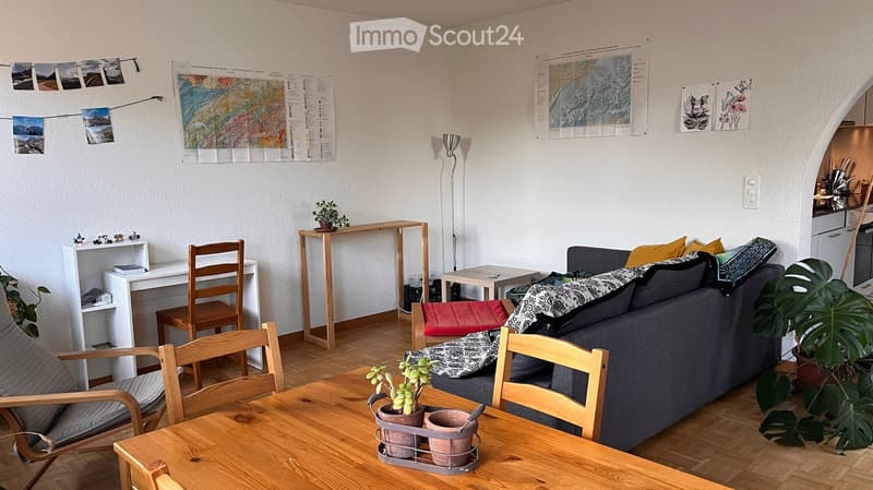 A cozy living room with a grey sofa, wooden chairs, a small table, and various plants. The room features a white shelf, a floor lamp, and a small kitchen area visible in the background.