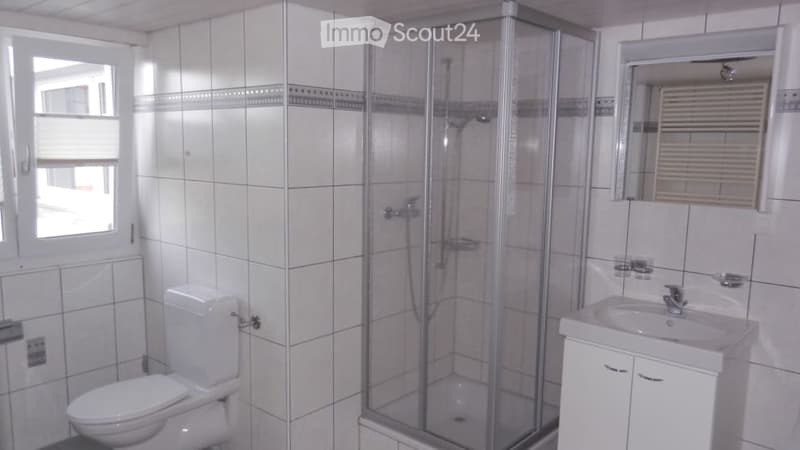 white tiled walls, white toilet, glass shower enclosure, white sink, mirror