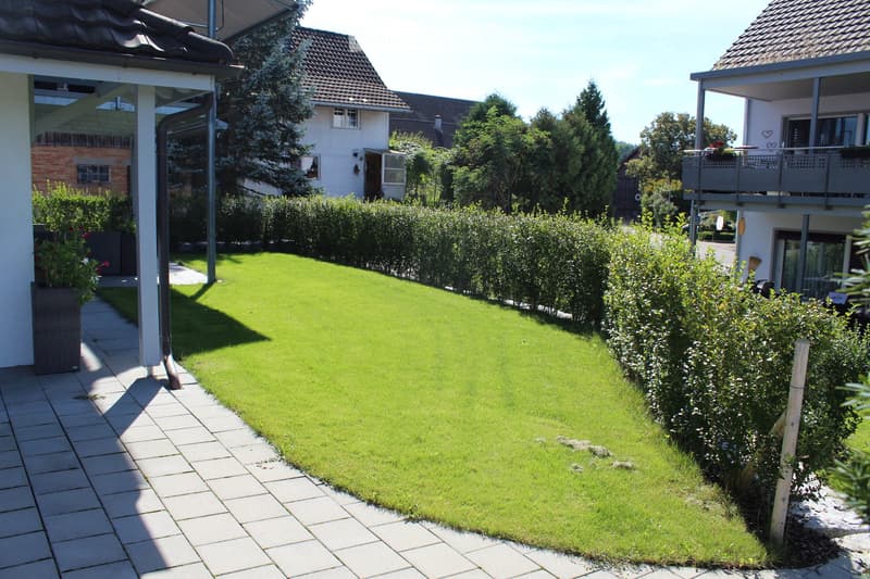 A well-maintained garden with a neatly trimmed lawn, a hedge, and a paved walkway. There is a house with a balcony in the background.