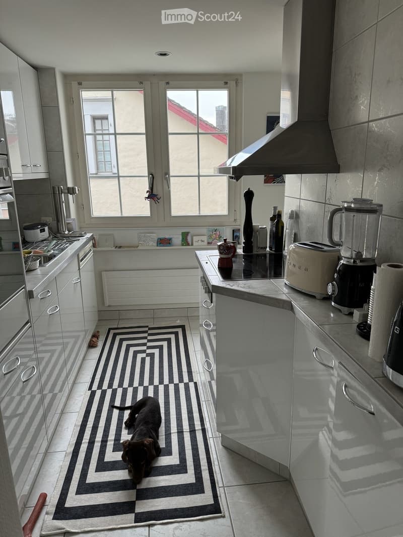 Modern kitchen with white cabinets, stainless steel appliances, and a black and white patterned rug. A dog is lying on the rug.