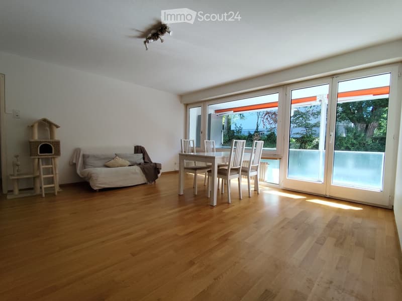 Bright living and dining area with wooden flooring, large windows, a sofa, a cat tree, and a dining table with chairs.