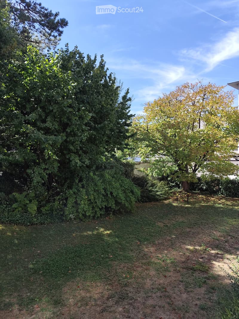 A garden area with grass, trees, and shrubs, featuring a mix of green and brown ground cover.