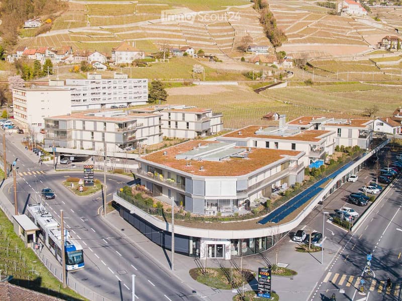 Aerial view of a modern residential complex with multiple buildings, green roofs, parking areas, and surrounding vineyards.