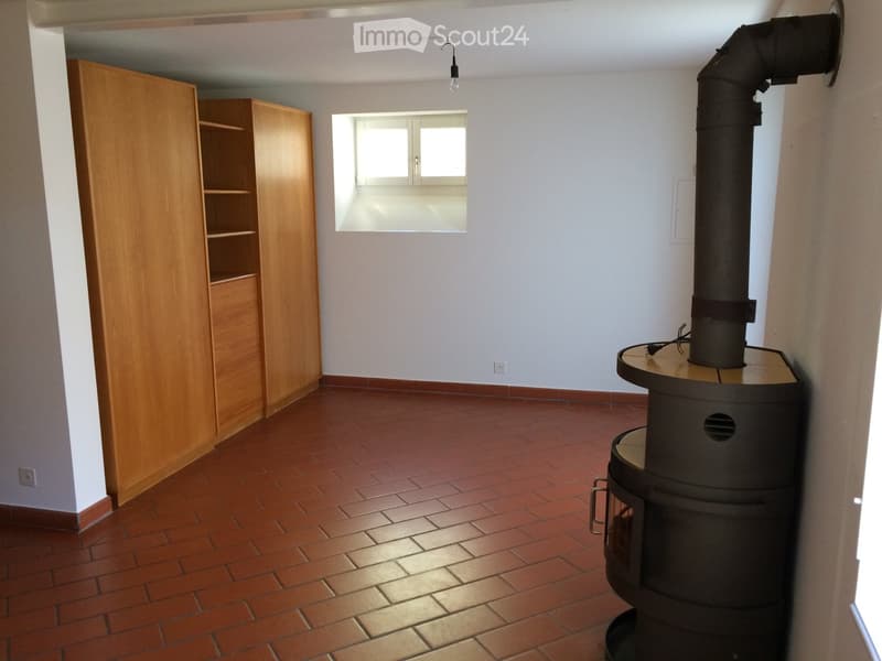 Empty room with red brick floor, white walls, wooden cabinet, and a wood-burning stove with a chimney.