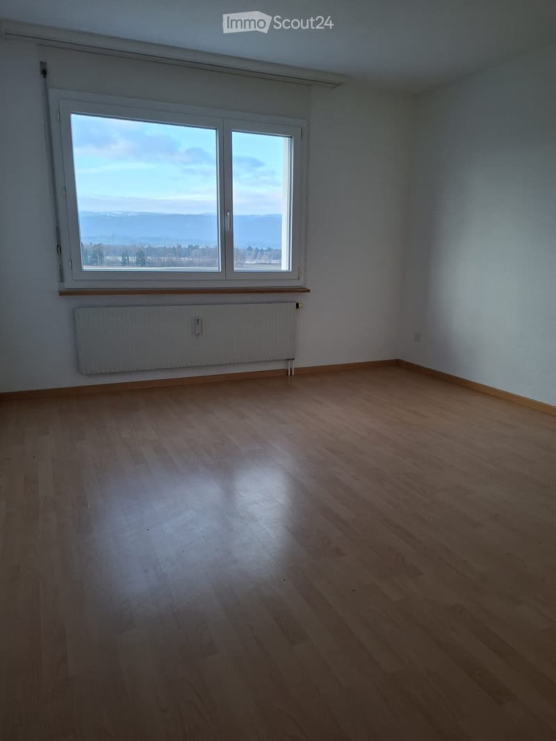 empty room, wooden floor, large window with view, white wall, white radiator