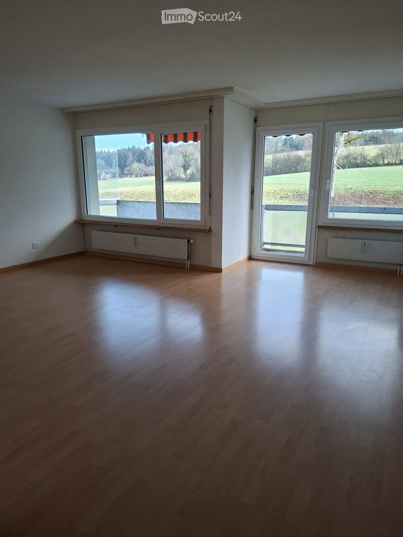balcony, double windows, hardwood floors, white walls, open room, heating panels, wide view