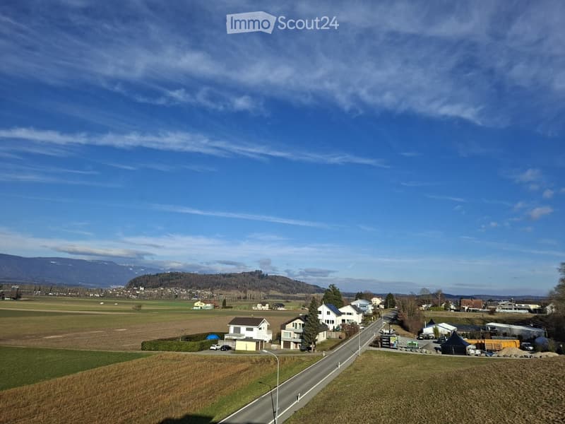 Rural area with a wide road, houses, cars, distant mountains, a blue sky with clouds, and a green field