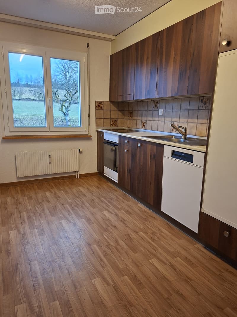 kitchen area with sink, stove, dishwasher, cabinets, radiator