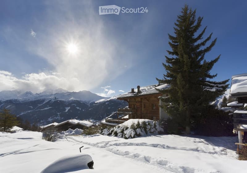 A wooden chalet surrounded by snow-covered trees and mountains, with a clear blue sky and sun shining brightly.