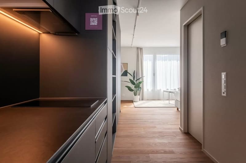 Modern kitchen with a sleek island, built-in cabinets, and a hallway leading to a living area with a potted plant, small table, and chair.