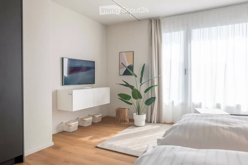 Modern bedroom with a bed, television mounted on the wall, a white cabinet, a large potted plant, a rug, and a picture frame on the wall. The room features wooden flooring and large windows with sheer curtains.