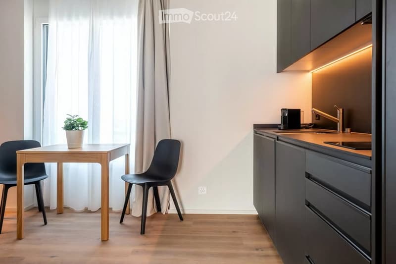 A modern, compact kitchen and dining area with a wooden table, two black chairs, a potted plant, sleek kitchen cabinets, and a coffee maker on the counter.