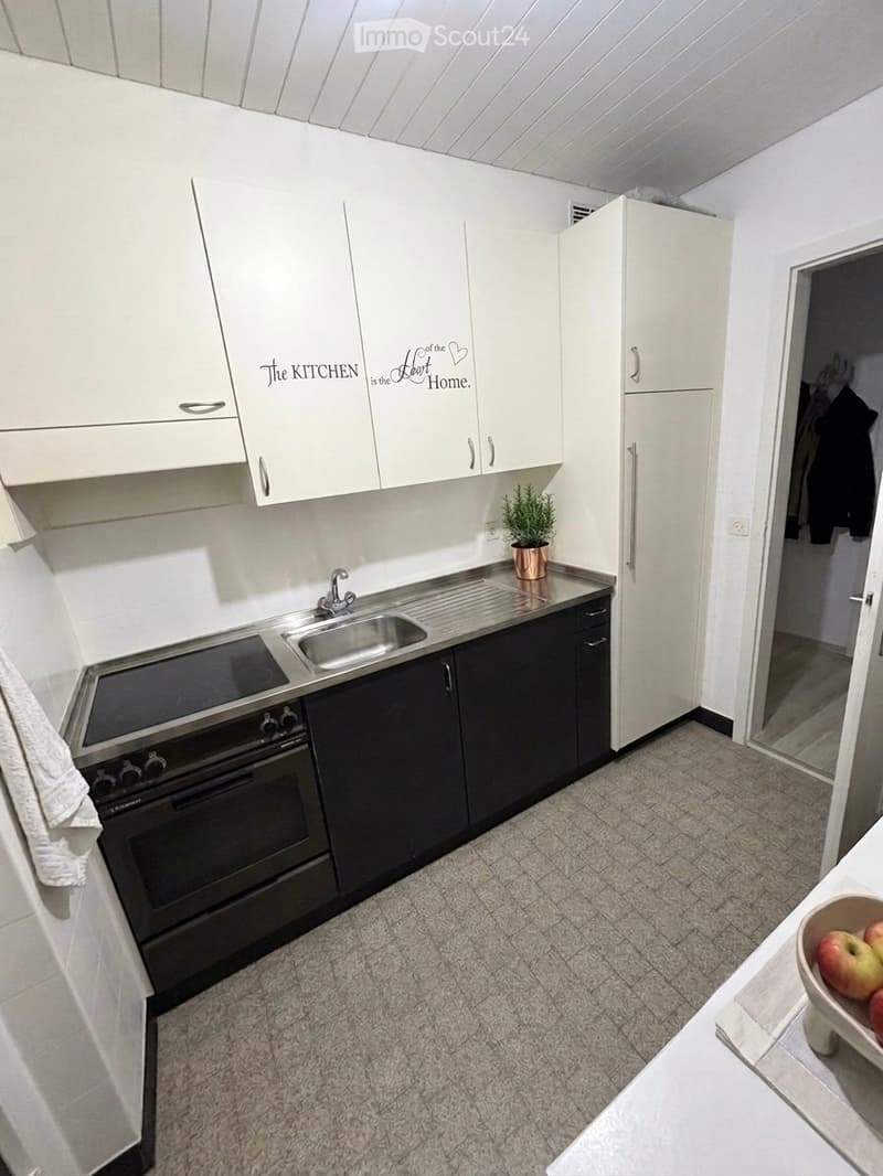 Modern kitchen with white cabinets, stainless steel sink, oven, stove, and a small plant on the counter.