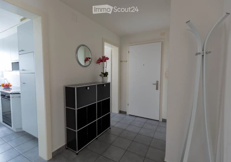 A modern hallway with a sleek black cabinet, a round mirror on the wall, a small flower pot with red flowers, and a white door leading to another room.