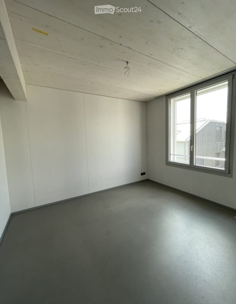 Empty room with white walls, dark grey concrete floor, and large window with multiple panes. The ceiling is made of light wood panels.