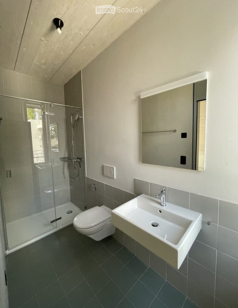 Modern bathroom with a toilet, sink, mirror, and glass-enclosed shower. The room features dark tiled flooring and light-colored walls.