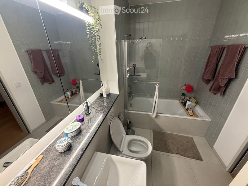 Modern bathroom with a toilet, bathtub, sink, and shower area. The countertop has various bathroom accessories, and towels are neatly hung on the walls.