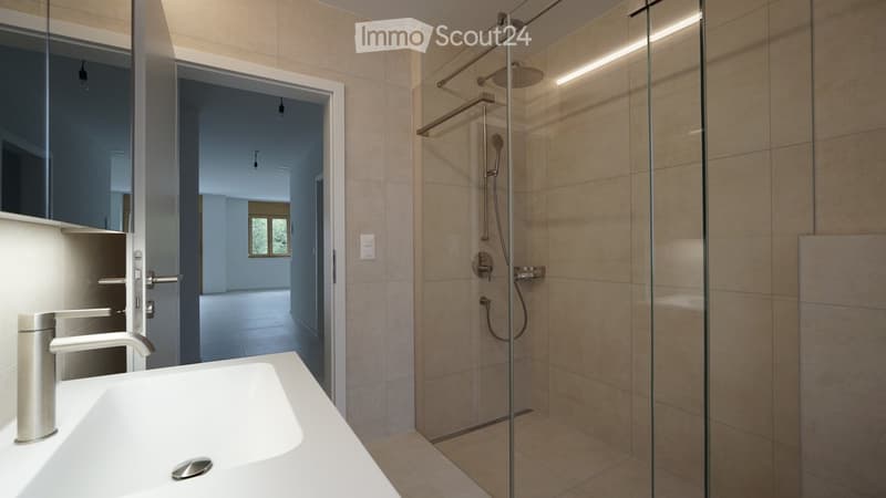 Modern bathroom with a white sink, sleek faucet, glass-enclosed shower with a handheld showerhead, and a large mirror above the sink.