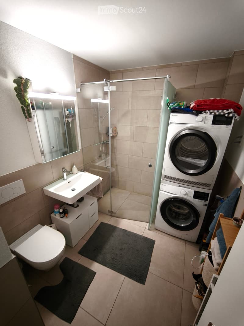 Modern bathroom with a sink, toilet, mirror, washing machine, and a glass-enclosed shower area. Includes a small cabinet under the sink and a towel rack with towels.