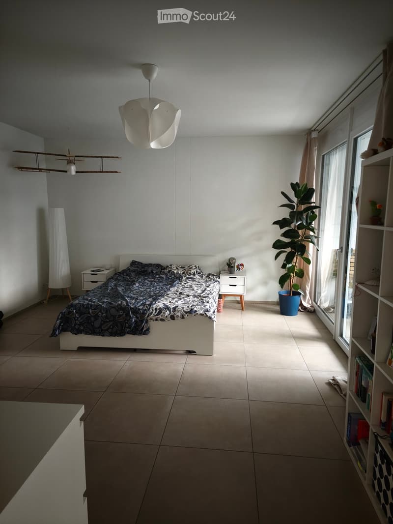 Modern bedroom with a white bed, patterned bedding, nightstands, a large potted plant, and a tall floor lamp near the window.