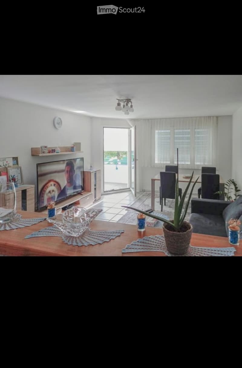 Bright living room with a sofa, coffee table, TV, dining area, and balcony access. Includes decorative items like a potted plant and a bowl on the coffee table.