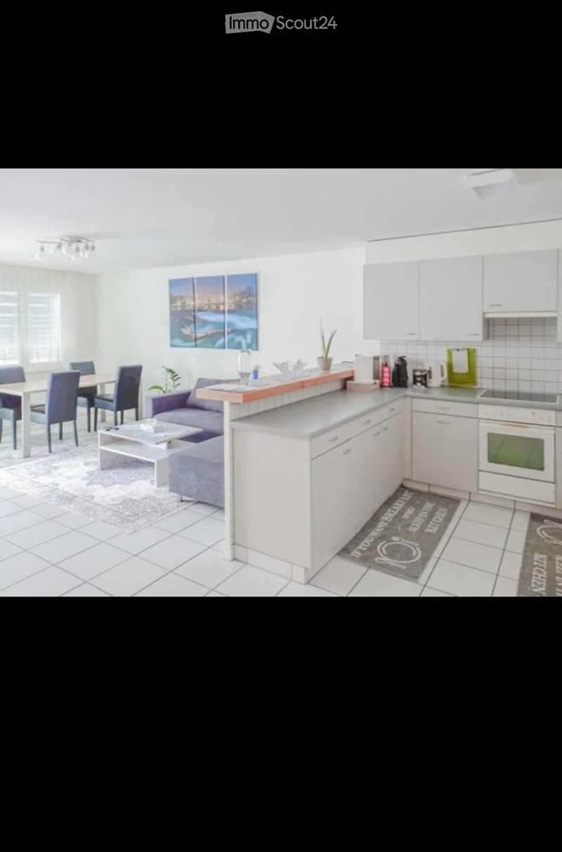 A modern, open-plan living and dining area with a kitchen. Features include a grey sofa, coffee table, dining table with chairs, kitchen cabinets, oven, stove, and a small plant on the counter.