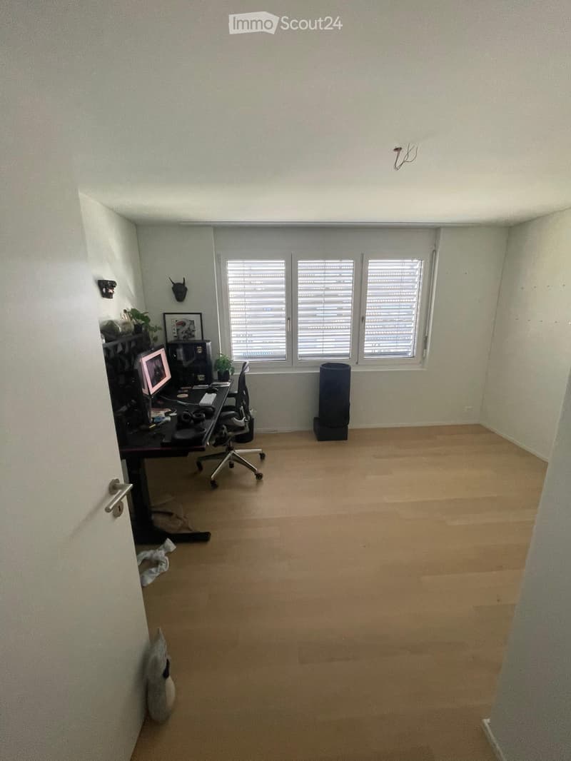 A furnished room with a desk, chair, computer, screen, keyboard, mouse, small plant, framed picture, and a cat tree. The room has wooden flooring and large windows with blinds.