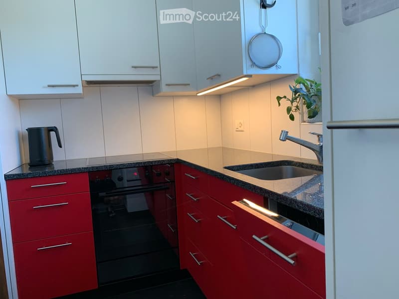 Modern kitchen with red cabinets, granite countertops, stainless steel sink, and built-in oven.