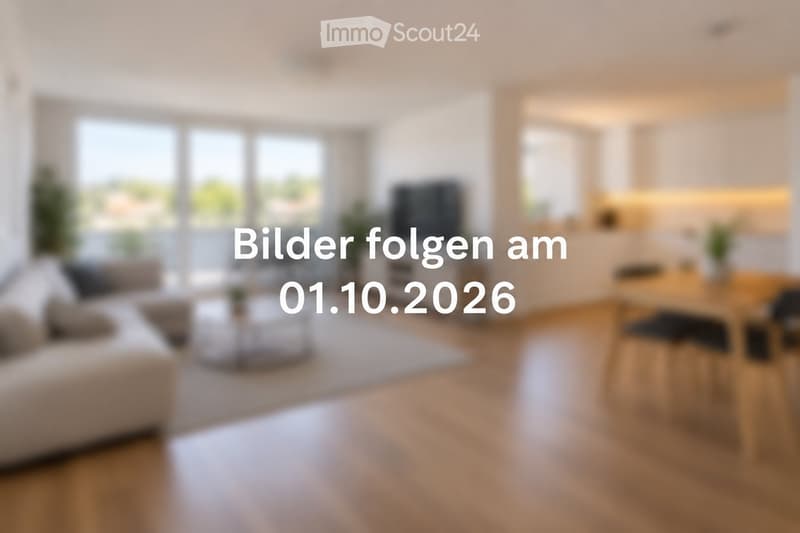 Modern living and dining area with large windows, light wooden flooring, a white sofa, coffee table, dining table, and chairs.