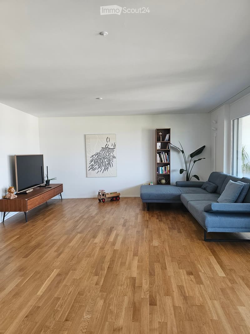 Modern living room with wooden flooring, a grey sectional sofa, a wooden TV stand with a screen, a bookshelf, and a small toy car on the floor.