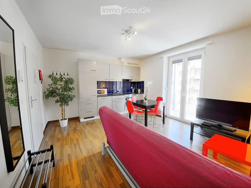 A modern, open-concept living and dining area with a red sofa, a black dining table with red chairs, a flat-screen TV on a stand, a small kitchen with white cabinets and stainless steel appliances, and a potted plant near the entrance.