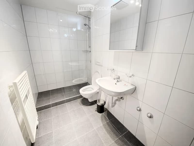 Modern bathroom with white tiled walls, a toilet, sink, mirror, glass-enclosed shower, radiator, and a trash bin.