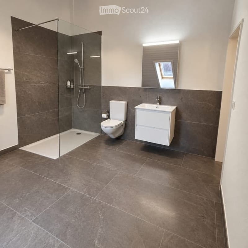 Modern bathroom with dark grey tiles, a white toilet, a white sink with a mirror, and a glass-enclosed shower area.