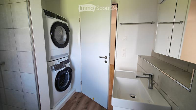 Modern bathroom with a white sink, chrome faucet, mirror, and a private washing machine unit in the adjacent space.