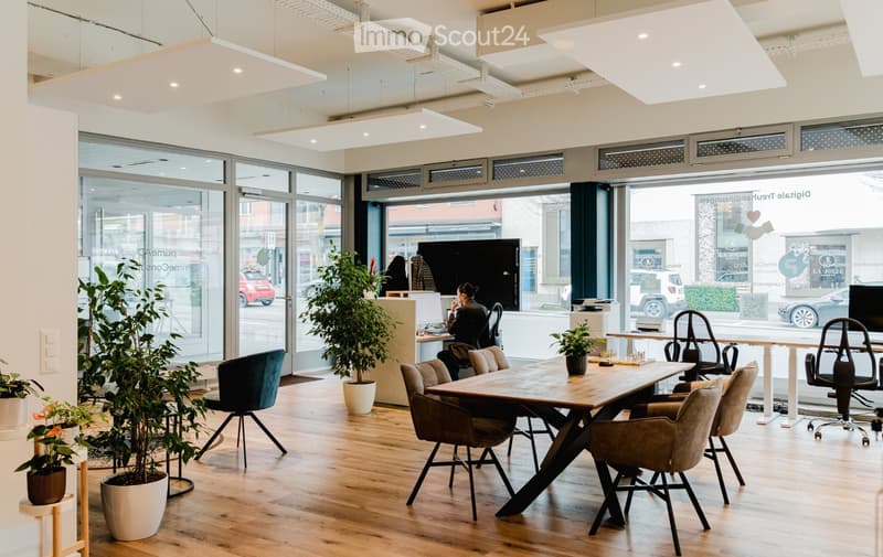 modern office, wooden floor, glass walls, several plants, two tables, office chairs, TV