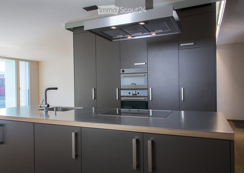 Modern kitchen with dark grey cabinets, stainless steel appliances, and a sleek countertop.