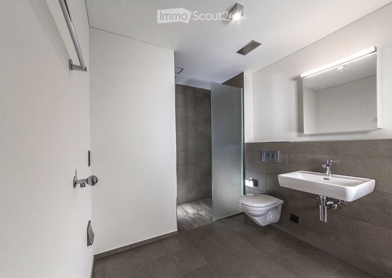 Modern bathroom with a white toilet, white sink, large mirror, and glass-enclosed shower. Dark tiled walls and floor, sleek fixtures, and built-in lighting.