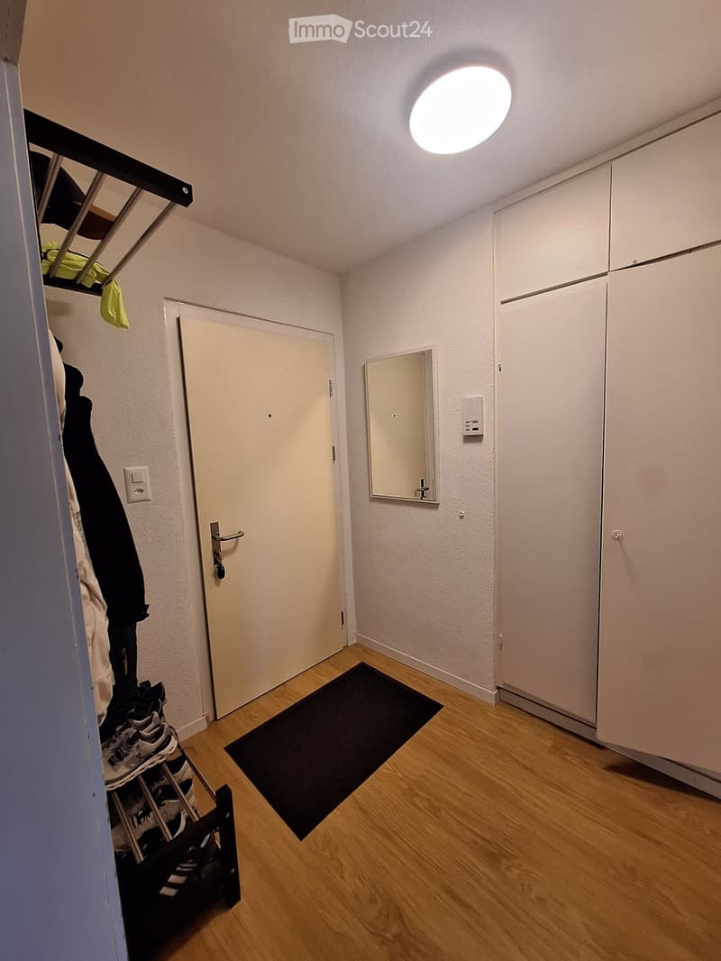 A narrow hallway with wooden flooring, white walls, a closed door, a small black rug, a coat rack with shoes and jackets, and a built-in closet with mirrored doors.