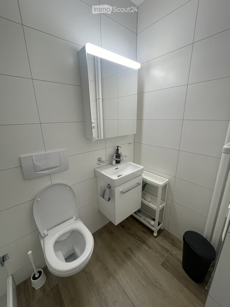 Modern bathroom with white tiled walls, wooden floor, toilet, sink with mirror, and small shelf.
