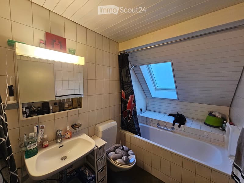 Bathroom with a sink, toilet, bathtub, mirror, and a small window with a skylight. A cat is resting on the edge of the bathtub, and various toiletries are visible on the sink and shelves.