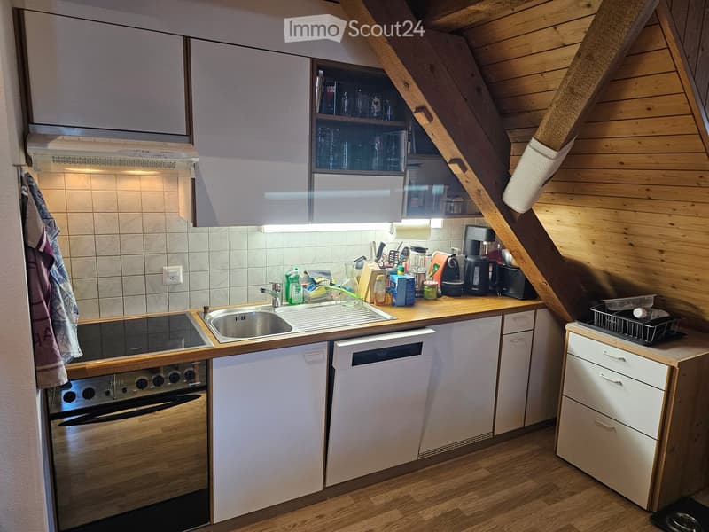 Compact kitchen with wooden cabinets, stainless steel sink, oven, dishwasher, and various appliances on the counter.