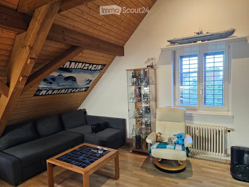 Living room with wooden slanted ceiling, grey sofa, coffee table, armchair, cat, glass cabinet with bottles, and a model ship on the wall.