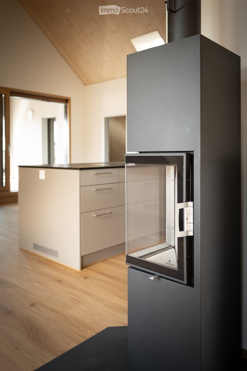 Modern interior with a sleek black fireplace and light-colored kitchen cabinets in the background.