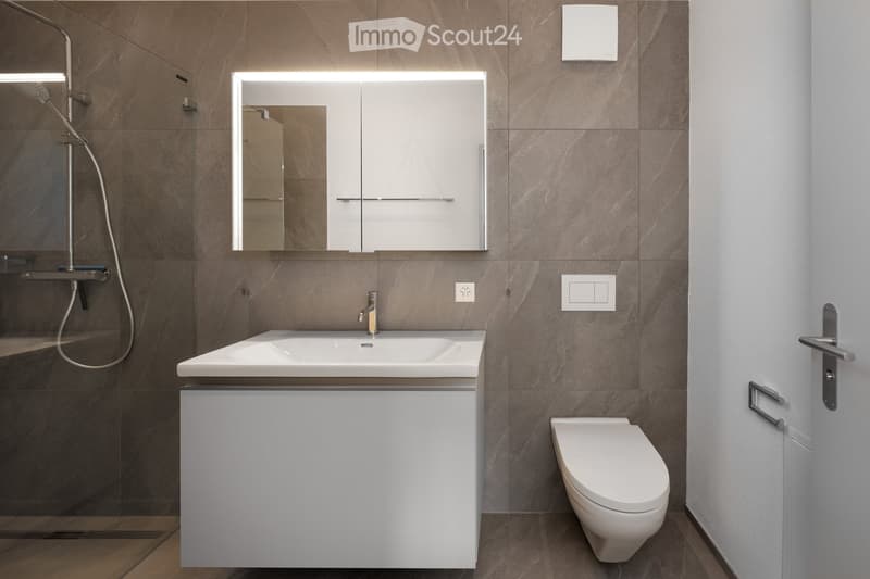 Modern bathroom with a white sink, toilet, and large mirror with built-in lighting. The walls are tiled in a dark brown color, and the floor is wooden.