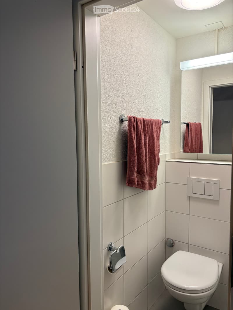 Modern bathroom with white tiles, a toilet, a towel rack with two towels, a mirror, and a light fixture above the mirror.