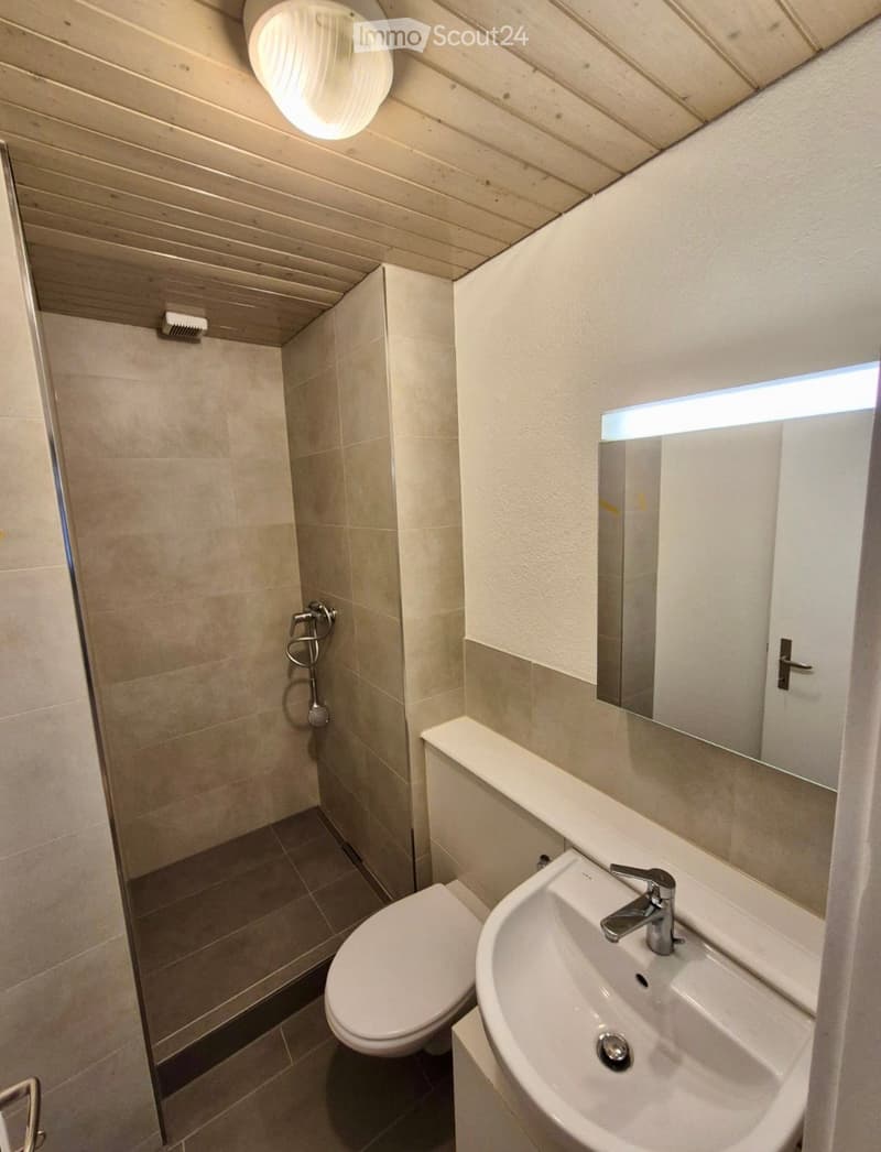Modern bathroom with a toilet, sink, mirror, and shower area. Light-colored tiles and wooden ceiling.