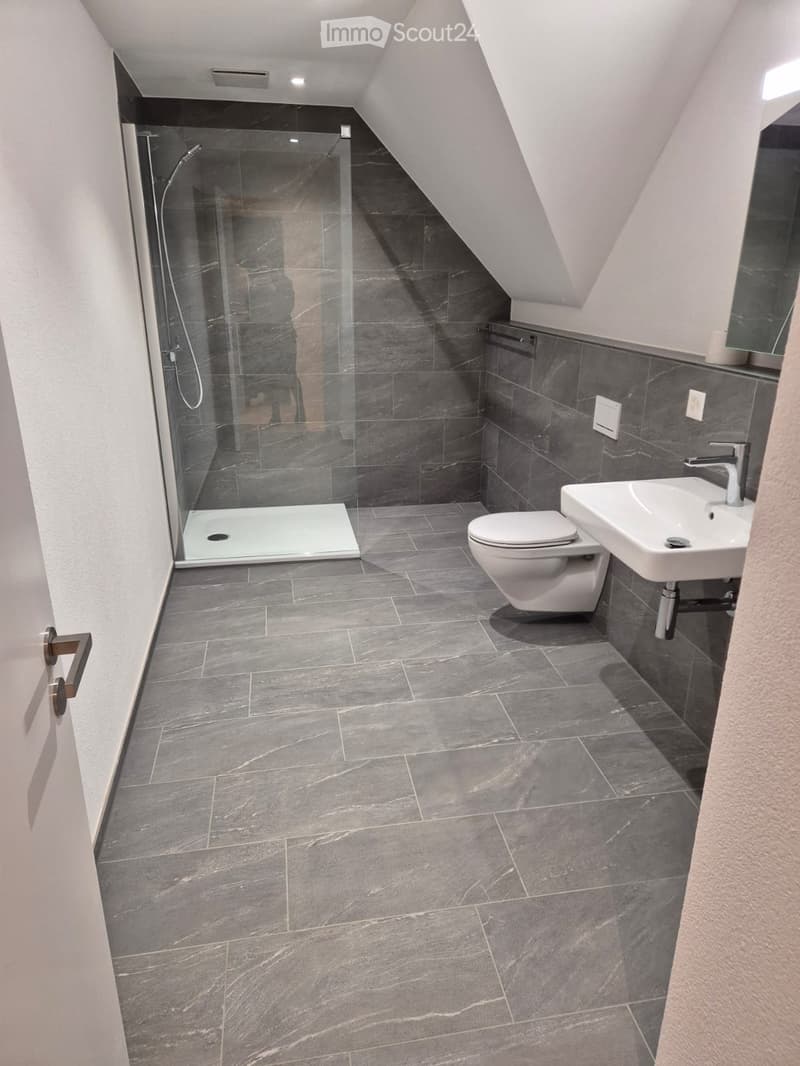 Modern bathroom with dark grey tiles, a glass-enclosed shower, a toilet, and a sink.